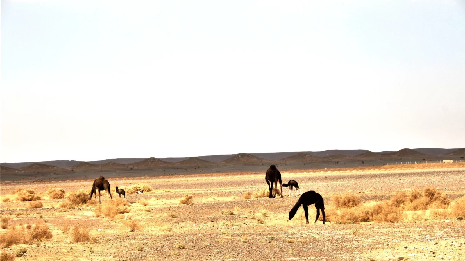 MOROCCO OFF ROAD TOUR