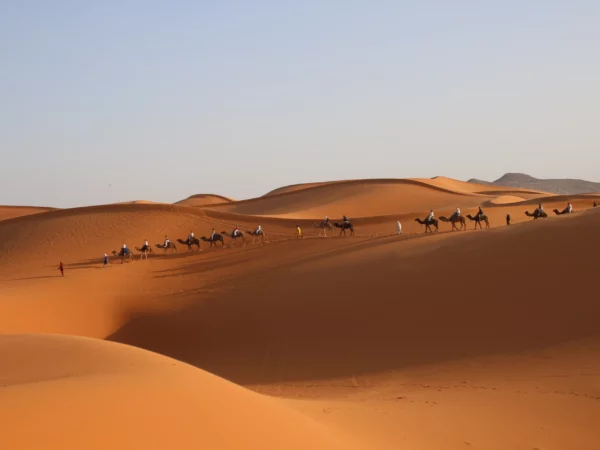 5D/4N The Sahara Desert Tour