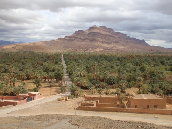 2D/1N The Mummy Tour