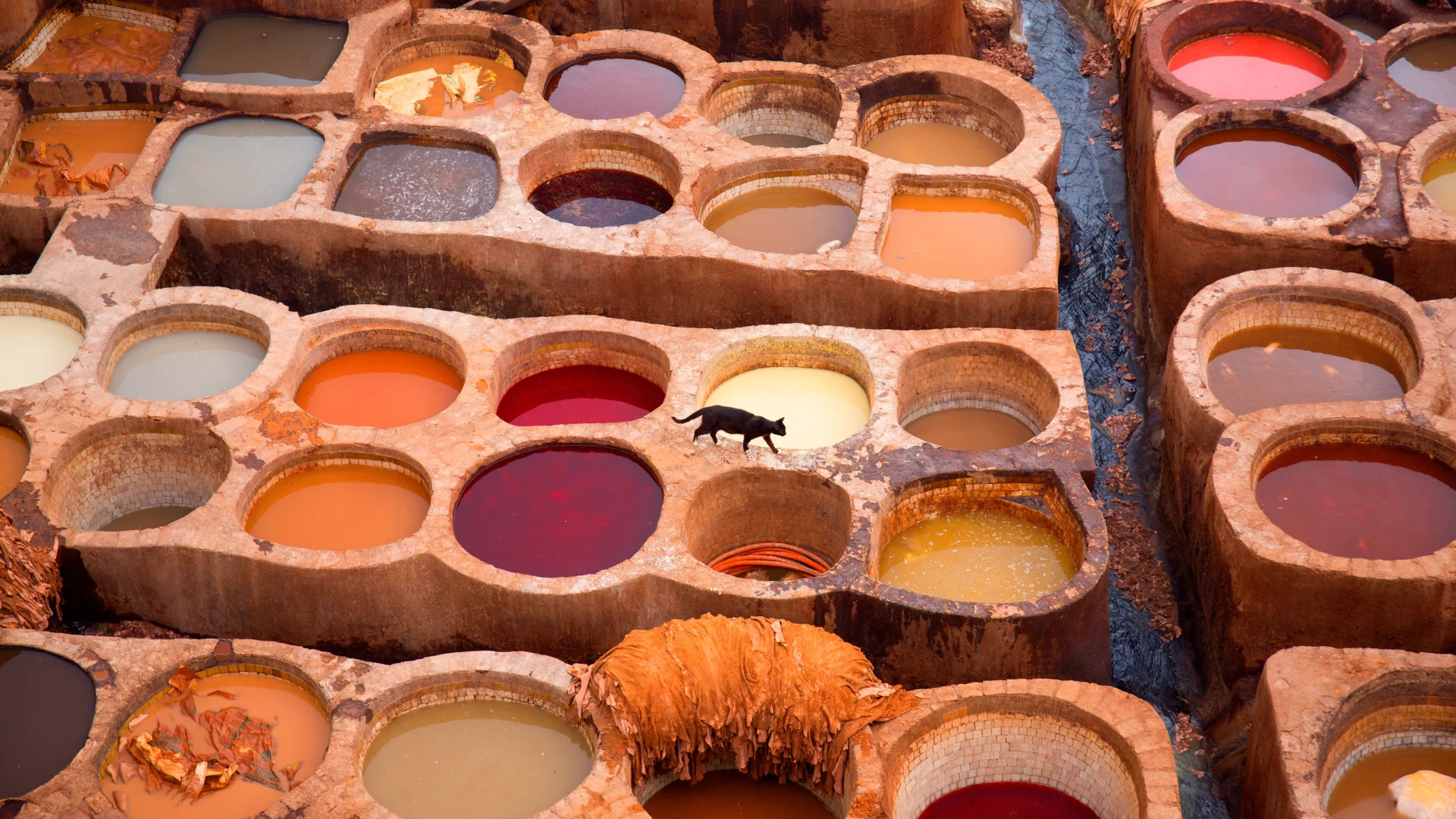 Fes Tanneries