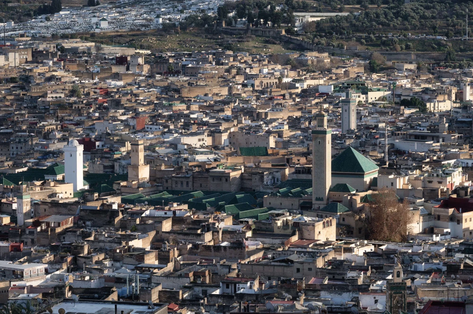 Tour da Fes
