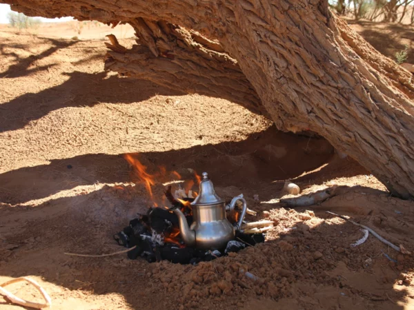 5D/4N Paris-Dakar Rally Tour