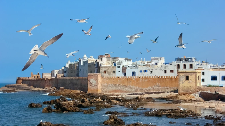 Morocco Excursions