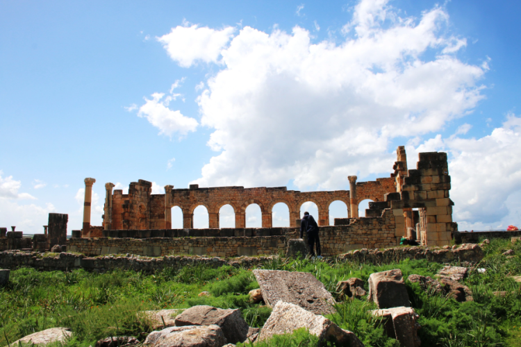 Day Trip To Volubilis