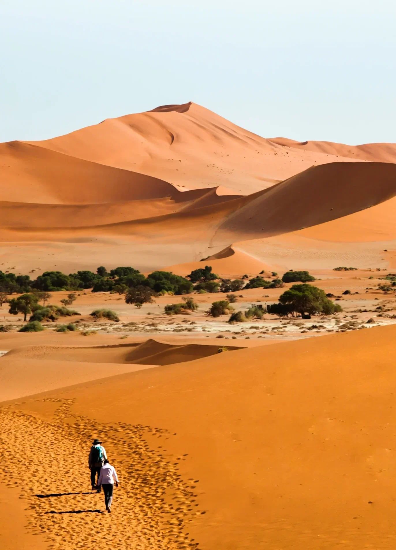 Morocco Tours