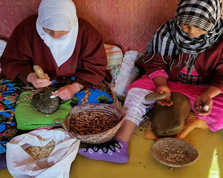 Argan Oil Cooperative